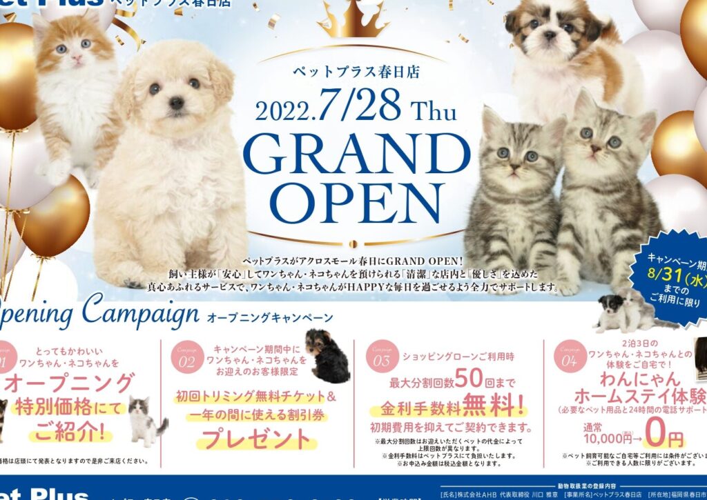 e3839ae38383e38388e38397e383a9e382b9-e383ade383bce383b3-e4bd95e59b9ee68995e38184e381aee8a9b3e7b4b0e381a8e69da1e4bbb6e381abe381a4e38184 ペットプラス ローン 何回払いの詳細と条件について